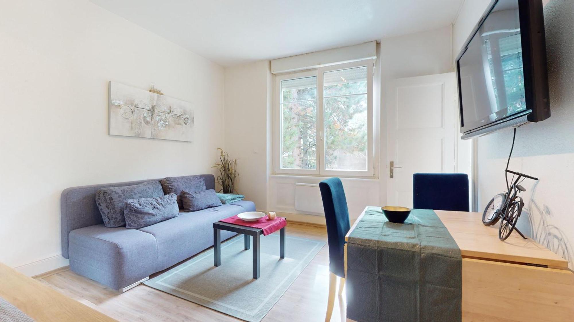 Apartment Le Platine Mulhouse